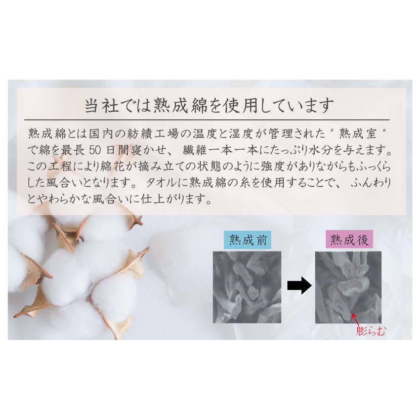 【スピード発送】シンジカトウ「ウルトラモンスターズハンカチ」セット【泉州タオル 国産 吸水 普段使い 無地 シンプル 日用品 家族 ファミリー】 G2195_イメージ3