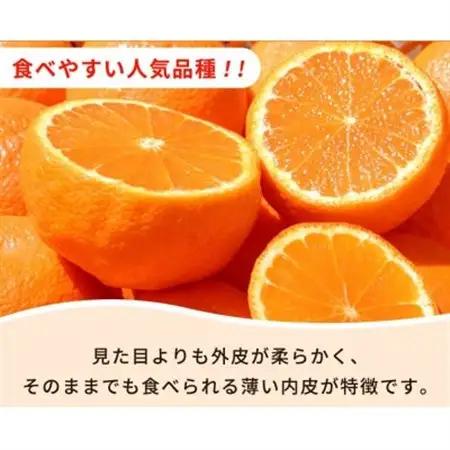 【ご家庭用】紀州有田産不知火(しらぬひ) 3kg【配送不可地域：離島】【1560336】