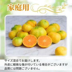 ハウスみかん 5kg+250g(傷み補償) 家庭用 / ハウスミカン 温室みかん 有田みかん 甘い 和歌山 柑橘 ※7月中旬～8月下旬に順次発送 ※北海道・沖縄・離島への配送不可 【ikd002-c-
