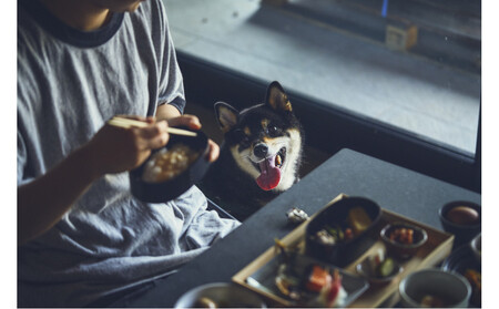 【愛犬と一緒に泊まれるホテル・1HOTEL】ふるさと納税宿泊ギフト券30,000円分