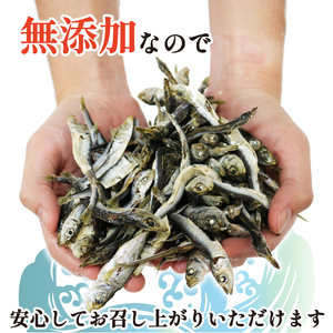 【良質なだし】 無添加煮干し 1.5kg (500g×3袋) 煮干し