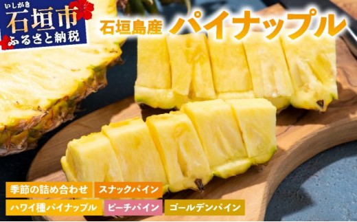 
                  【訳あり】 石垣島産 パイナップル 約4kg 3~10個・約8kg 6~20個《旬の時期に発送》
                