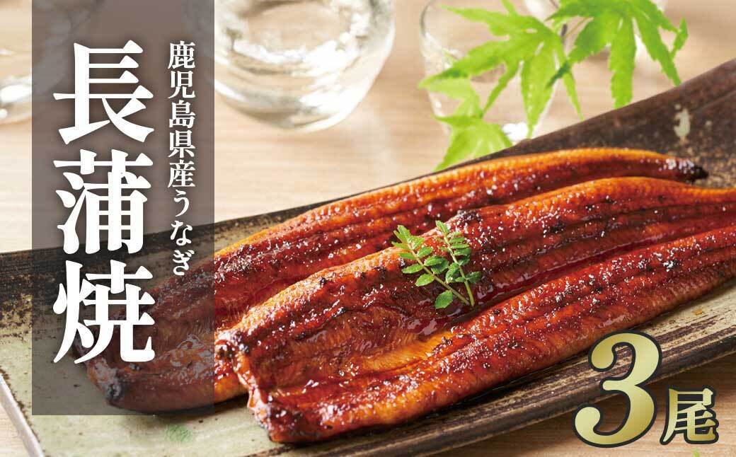 ふるさと納税限定　鹿児島県大崎町産 国産 うなぎ長蒲焼 3尾 計480g以上 | 鰻 うなぎ蒲焼き うな重 ひつまぶし ウナギ 蒲焼 人気 おすすめ 鹿児島 大隅半島 DU002　 464686_DU002