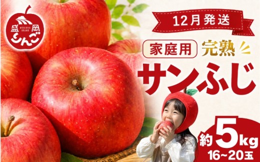 先行予約 訳あり サンふじ 完熟 りんご 5kg 16~20玉 家庭用 <12月発送> 規格外 傷 不揃い フルーツ 果物 冬 旬 旬のフルーツ 盛岡市産 林檎 リンゴ 国産 産地直送 くだもの お取り寄せ デザート 特産品 名産品 ご当地 自宅用 朝食 おやつ 新鮮 甘い おすすめ 岩手県 盛岡市 東北 岩手 盛岡 田村ふぁーむ tamura003