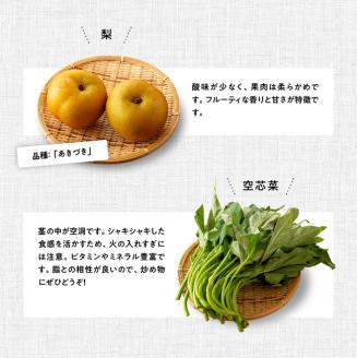 【定期便】産直おすず村 季節の野菜と果物 厳選 詰め合わせセット（大） 全4回【旬野菜 フルーツ 直売所 産地直送 宮崎県産】[G3804]