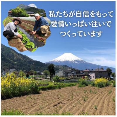 ふるさと納税 西桂町 【訳あり】作って楽しい!食べておいしい!有機栽培で作ったこだわりのポップコーン8袋(1袋100g) |  | 03