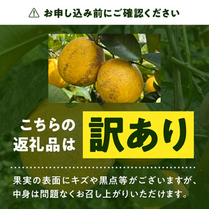 S097-006_【訳あり】あまくさ晩柑 9kg