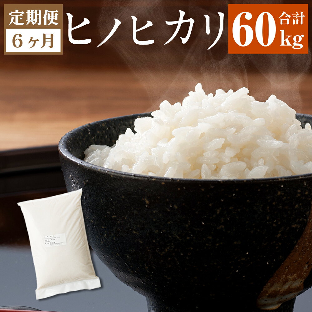 【ふるさと納税】【6ヶ月定期便】 大分県産ヒノヒカリ 10kg×6ヶ月 10kg×6回 大分県 竹田市 お米 白米 おこめ 合計60kg 九州産 単一原料米 ブランド米 定期便 6ヶ月連続 国産 ヒノヒカリ 直営農場 精米 常温 送料無料 【2025年11月上旬発送開始】