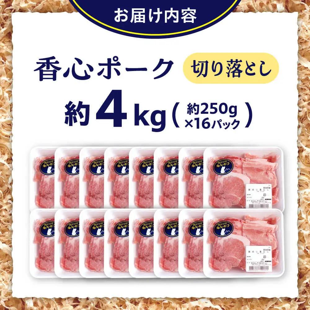 『香心ポーク』 切り落とし 約250g×16パック（計約4kg）豚肉切り落とし 冷凍 熊本県産 [AYCK001]