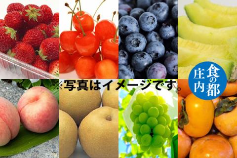 【R8.3月より発送開始】食の都庄内 厳選フルーツ便B（入金期限：2026.2.28）いちご さくらんぼ ブルーベリー メロン 桃 和梨 シャインマスカット 庄内柿 全8回配送 常温便 冷蔵便