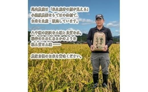 【玄米】 【 最短 翌日発送 】令和7年産 ヒノヒカリ 八千種米 お米 5kg ごはん 兵庫県産 世界かんがい施設遺産登録『西光寺野疏水路』 容量:5Kg