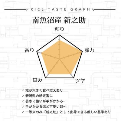 ふるさと納税 南魚沼市 【令和8年産】精米5kg南魚沼産新之助 |  | 01