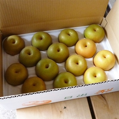 大分県日出町産　谷農の梨「幸水」5kg(12～16個)【配送不可地域：離島】