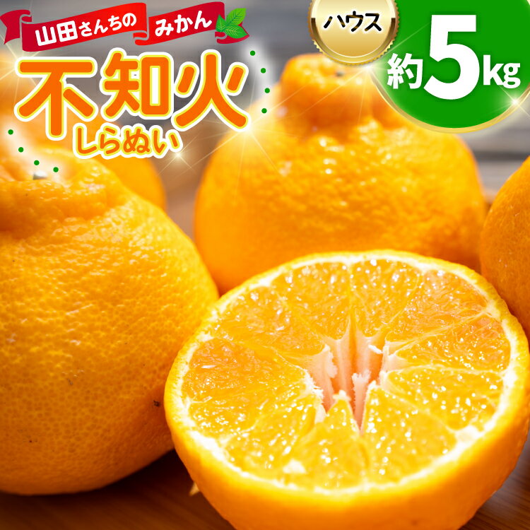 【ふるさと納税】みかん デコポン ハウス不知火 約5kg [山田公彦 長崎県 東彼杵町 hs42bag330002] 果物 柑橘 国産 長崎産 東彼杵