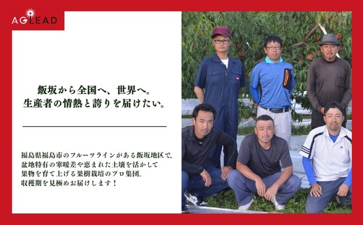 No.3367 アグリード 福島市産 梨（豊水） 約1.5kg（3～5玉）【2026年発送】