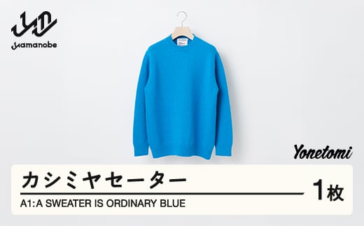 
A1 : A SWEATER IS ORDINARY BLUE ブルー カシミヤセーター 服 洋服 ユニセックス メンズ レディース ブランド 数量限定 山形県 山辺町 yt-soxxa
