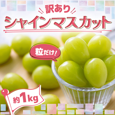 【先行予約】美味しさは「寒暖差」にあり 粒だけ!青森市産【訳あり】シャインマスカット(約1kg)【配送不可地域：離島】【1613276】