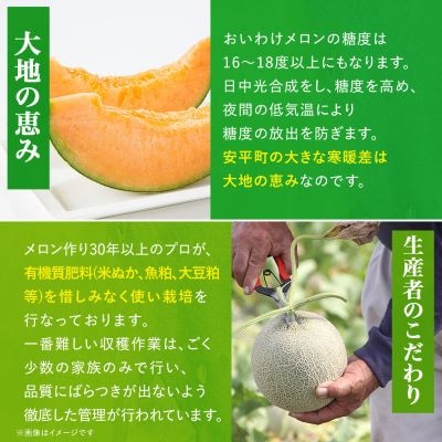 【数量限定】 おいわけメロン 糖度16度以上　1.6kg以上×2玉入【1082977】