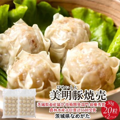 ふるさと納税 行方市 美明豚「びめいとん」のジューシー焼売 20個×2袋