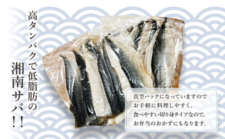 サバ湘南のサバのフィレ相模湾国産サバ【20枚入り約1.3kg】【冷凍】