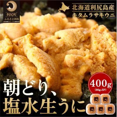 ふるさと納税 利尻町 【2026年発送受付】利尻島産「朝どり」塩水生うに400g (80g×5) 天然キタムラサキウニ