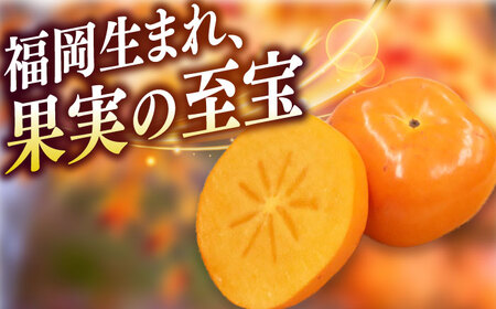 【2025年10月以降発送】福岡より直送！ 種がほとんどない新ブランド 柿 秋王 3玉＜一般社団法人地域商社ふるさぽ＞那珂川市[GBX052]