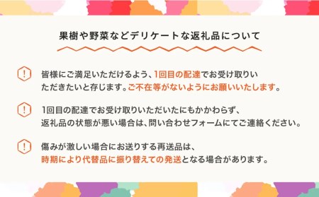 【先行予約】サンふじ 約5kg 令和8年産 mm-risfs5