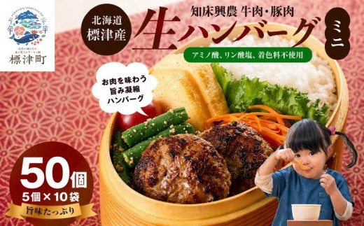 北海道産 生ハンバーグ ミニ 選べる 50個 セット (5個×10パック ) 冷凍 手作り ハンバーグ 国産 保存料不使用 牛肉 豚肉 ギフト お弁当 子供 子ども こども 安心 アミノ酸不使用 リン酸塩不使用 着色料不使用 牛 豚 肉 肉加工品 加工品 国産肉 国産豚 国産牛 はんばーぐ hannba-gu 冷凍食品 ロコモコ ロコモコ丼 小さめ 便利 パック 北海道 標津町