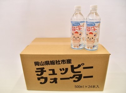 【定期便】そうじゃの水「チュッピーウォーター」（500ml×24本）〔12回配送〕144-002