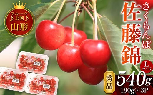 【先行予約 2026年度発送】♪フルーツ王国山形♪佐藤錦 秀品 FSY-1123