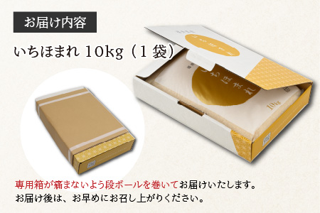  【令和5年産】いちほまれ 精米 10kg 《ギフトにもおすすめ！化粧箱入り》／ 福井県産 ブランド米 白米 贈り物 お取り寄せ