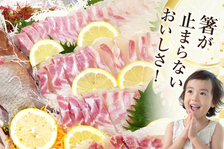 タイ 刺身 平戸なつ香 鯛 丸々 1匹 約2kg 6回 定期便 総計 約12kg [（株）坂野水産 長崎県 平戸市 hr42bgy420441]