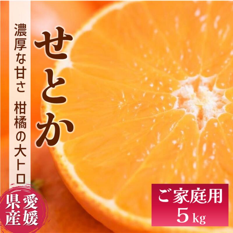 【ふるさと納税】せとか バラ詰め 5kg 先行予約 【2026年2月以降発送】 愛媛 数量限定 愛媛県産 人気 柑橘 伊予市｜C55