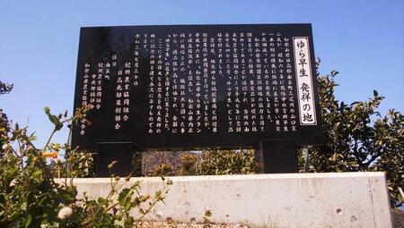 【先行予約】和歌山由良町産 由良早生みかん 約3kg サイズおまかせ(L～2S)いずれかお届け【SL1】