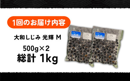 【全12回定期便】産地直送！宍道湖産 冷凍大和しじみMサイズ1kg(500g×2) 砂抜き処理済 島根県松江市/りすたむmatsue[ALDE021]