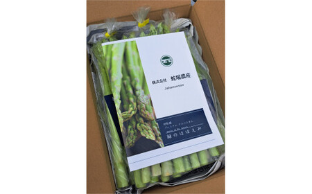 五泉産 グリーンアスパラガス 1.2g (400g×3)