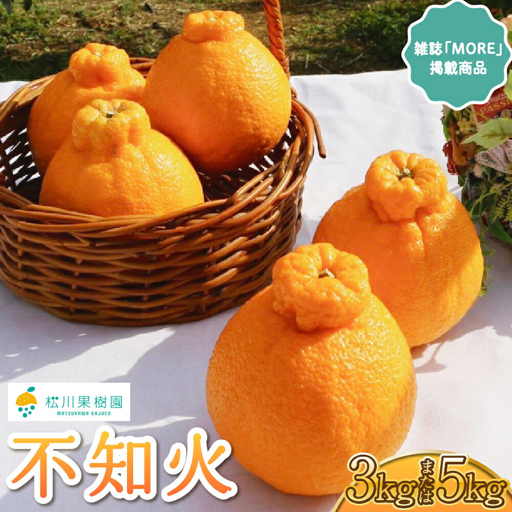 【ふるさと納税】 先行予約【雑誌 MORE 掲載】不知火 約3kg (約9〜12玉) または 約5kg (約15〜20玉) 【2026年3月上旬から4月下旬発送予定】しらぬい 柑橘 みかん ミカン 蜜柑 果物 くだもの フルーツ 九州産 熊本県産 宇城市産 国産 松川果樹園