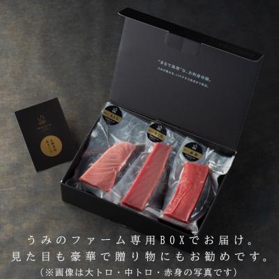 ふるさと納税 大月町 国産 養殖本マグロ 赤身300g 刺身用 冷凍 柵 ギフト 贈答 産地直送 海鮮丼 寿司 御歳暮 |  | 01