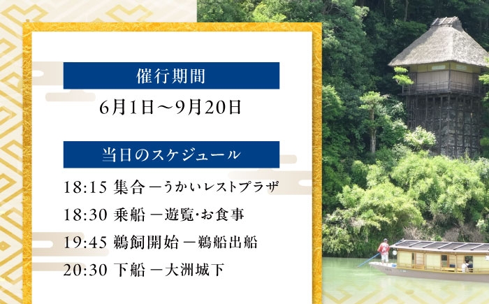  日本三大鵜飼 大洲のうかい 貸切 小型船 招待券（定員10名 鵜飼 観光 体験チケット 体験 イベント