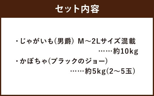 北海道産 じゃがいも 男爵 M～2Lサイズ混載 約10kg かぼちゃ ブラックのジョー 約5kg（2～5玉） セット 各1箱 合計約15kg 2箱 山田農場 ジャガイモ 芋 いも イモ 栗かぼちゃ 南