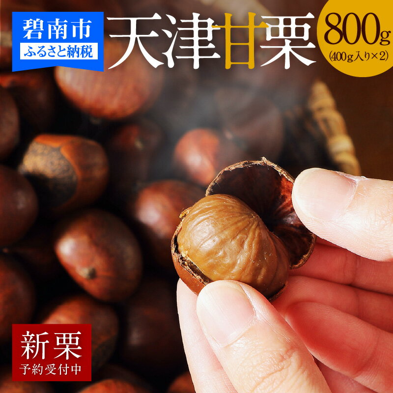 【ふるさと納税】【 新栗 】 予約受付 この道50年の職人が焼く やさしい甘さ 天津甘栗 800g 甘栗 栗 スイーツ 和菓子 お菓子 おやつ 秋 秋の味覚 和スイーツ 栗レシピ マロン 菓子 栗本来の甘さ 人気 お取り寄せ お取り寄せグルメ 愛知県 碧南市 送料無料