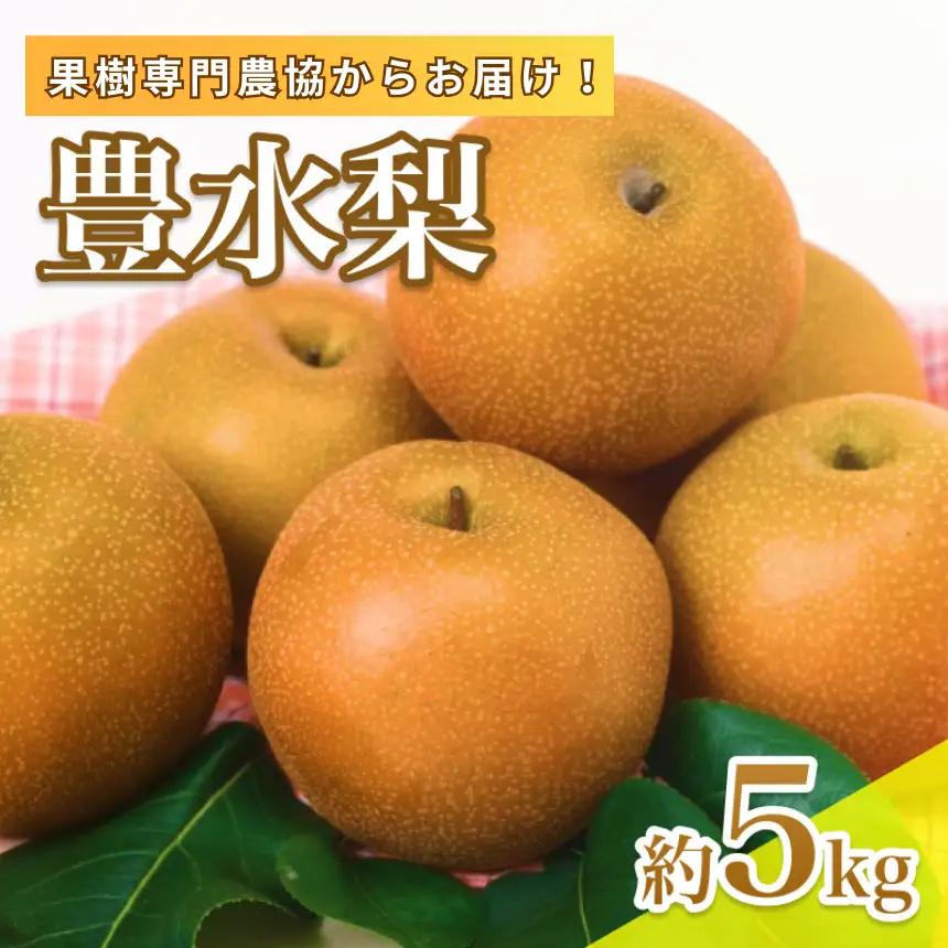 【9月上旬から発送予定】南信州産 「豊水梨」 約5kg 12～16玉 糖度11.0以上｜長野県 飯田市