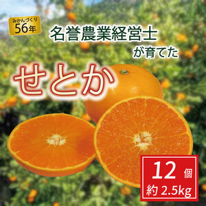 せとか 12個 約 2.5 kg  はらみかん農園 せとか