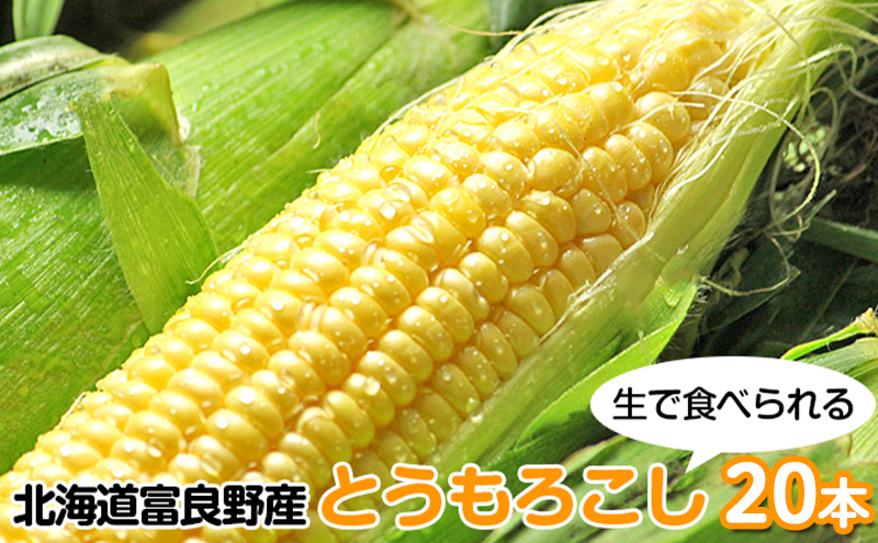 【2026年夏発送】富良野産 生で食べられる とうもろこし【恵味（めぐみ）】 20本 野菜 コーン
