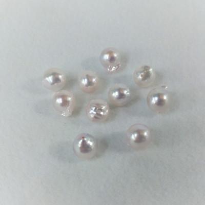 ふるさと納税 鳥羽市 伊勢志摩あこや本真珠ピアス・バロックSV 20-68 |  | 03
