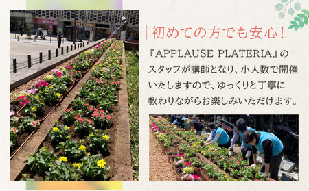 新橋駅西口広場(SL広場)花壇の植え替え(体験型ワークショップ)
