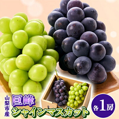 【ふるさと納税】【2027年発送先行予約】大人気!巨峰・シャインマスカット食べ比べセット ふるさと納税 　【配送不可地域：離島・沖縄県】【1304385】