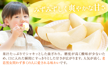 梨 豊水秀品 5kg 井岡農園 豊水梨 なし