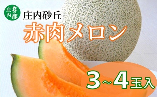 【令和8年産】食の都庄内　プロの技！庄内砂丘　赤肉メロン　※2026年7月上旬頃より発送開始予定