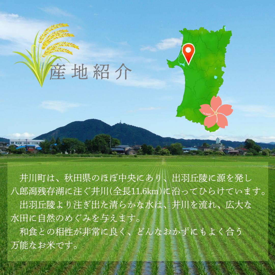 【令和７年産先行受付】【定期便】精米５ｋｇ×５ヶ月　秋田県井川町産あきたこまち